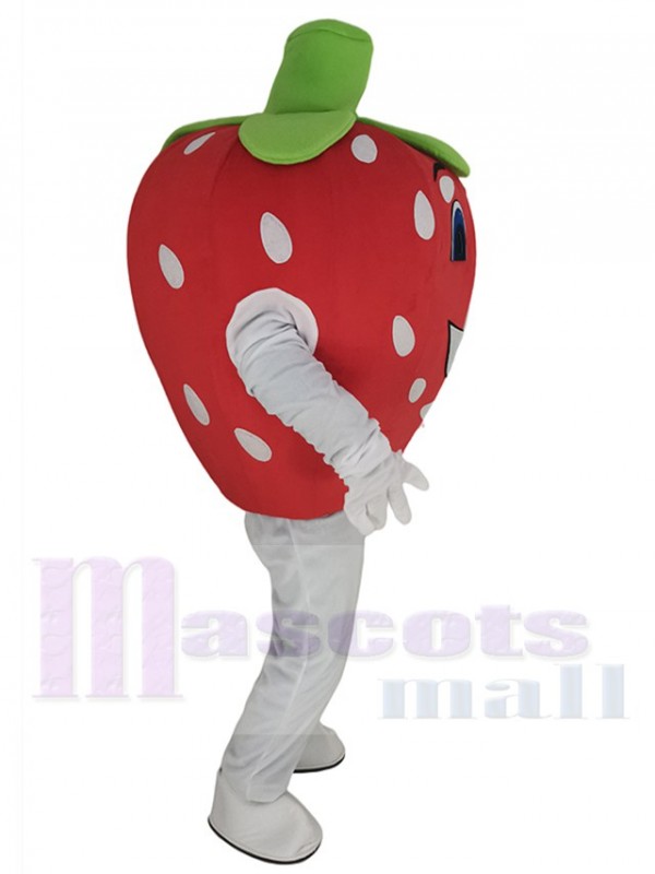 Fraise costume de mascotte