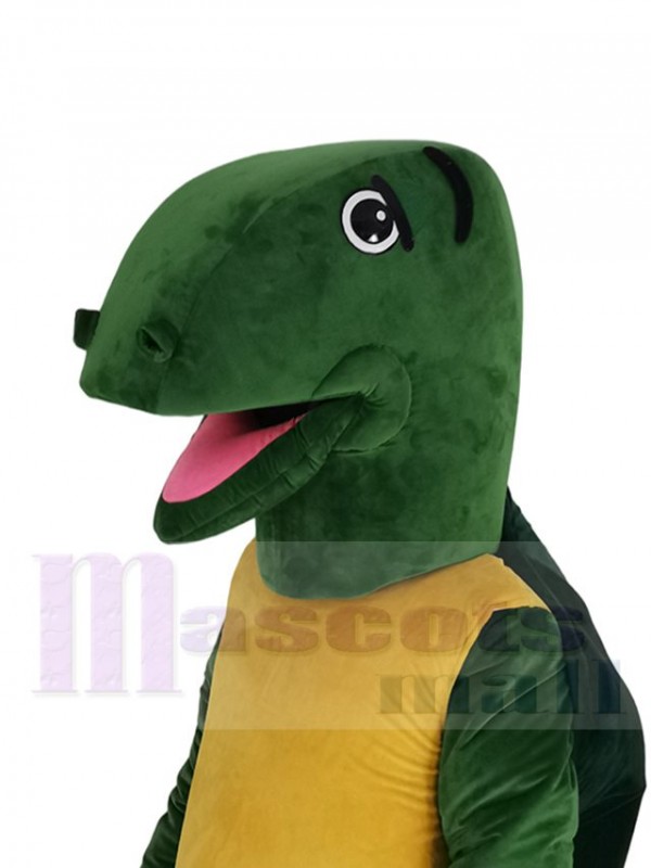 Tortue costume de mascotte