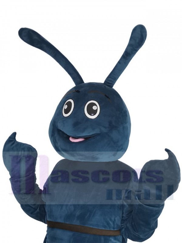 Insecte costume de mascotte