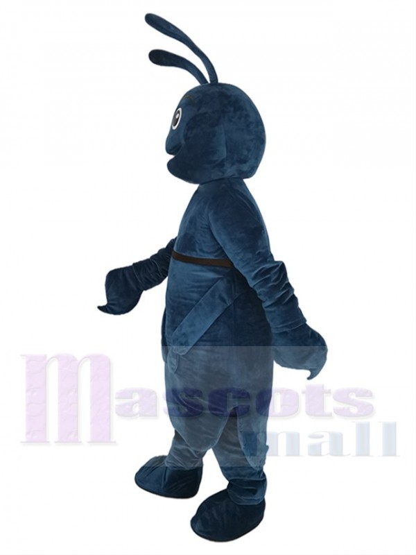 Insecte costume de mascotte