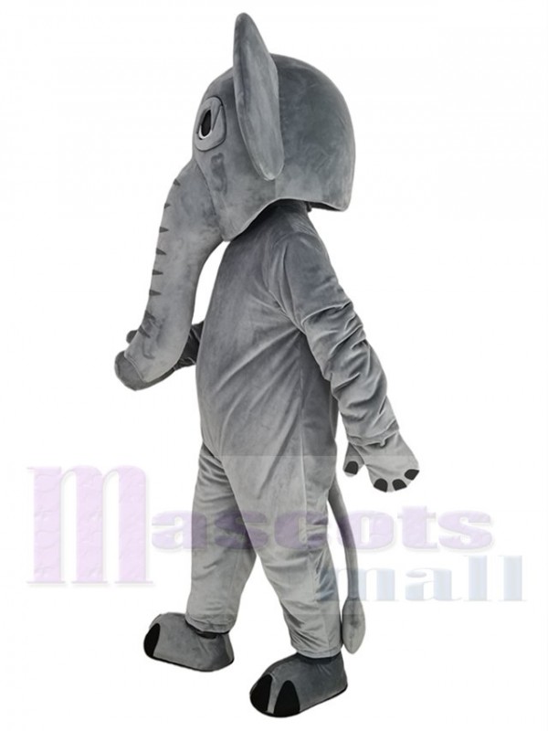 Éléphant costume de mascotte