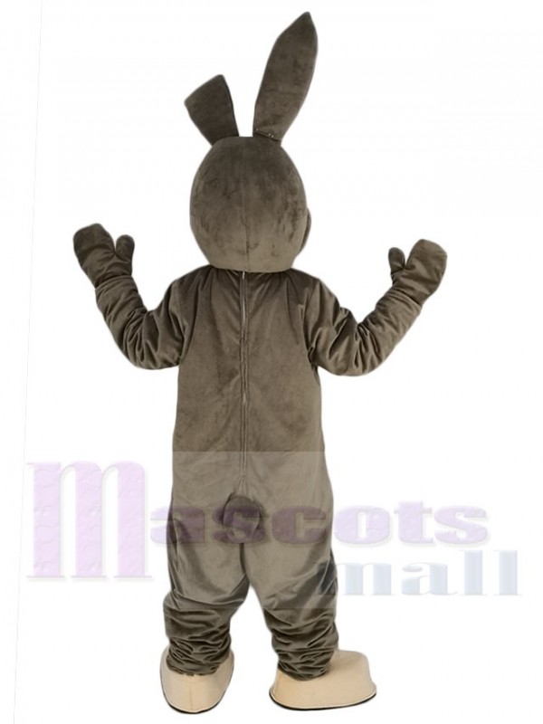 Lapin de Pâques costume de mascotte