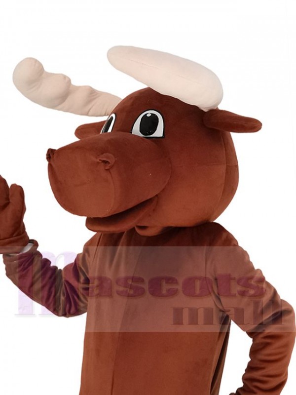 Orignal costume de mascotte