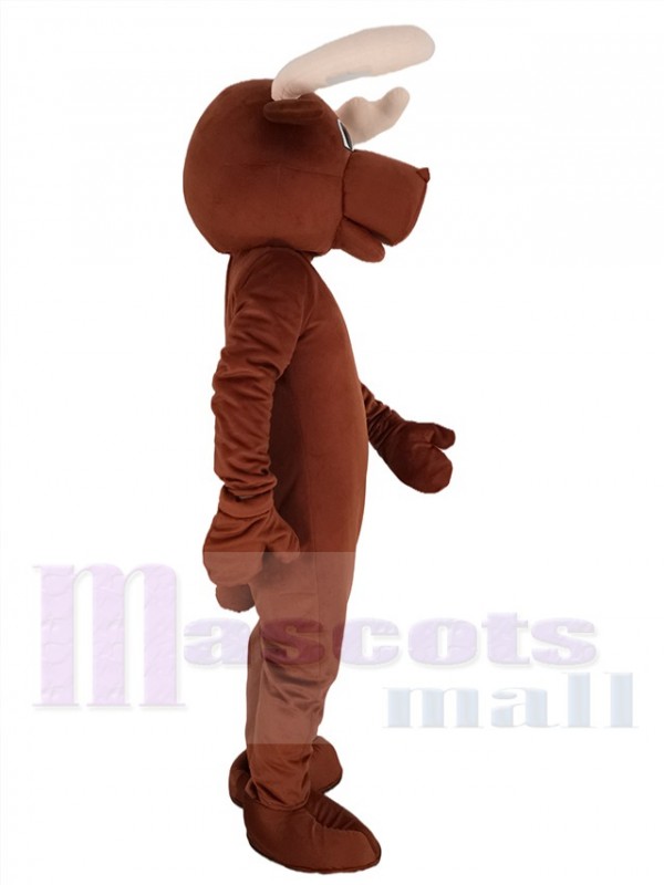 Orignal costume de mascotte