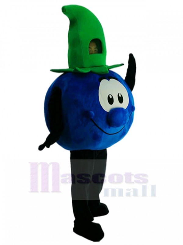 Myrtille costume de mascotte
