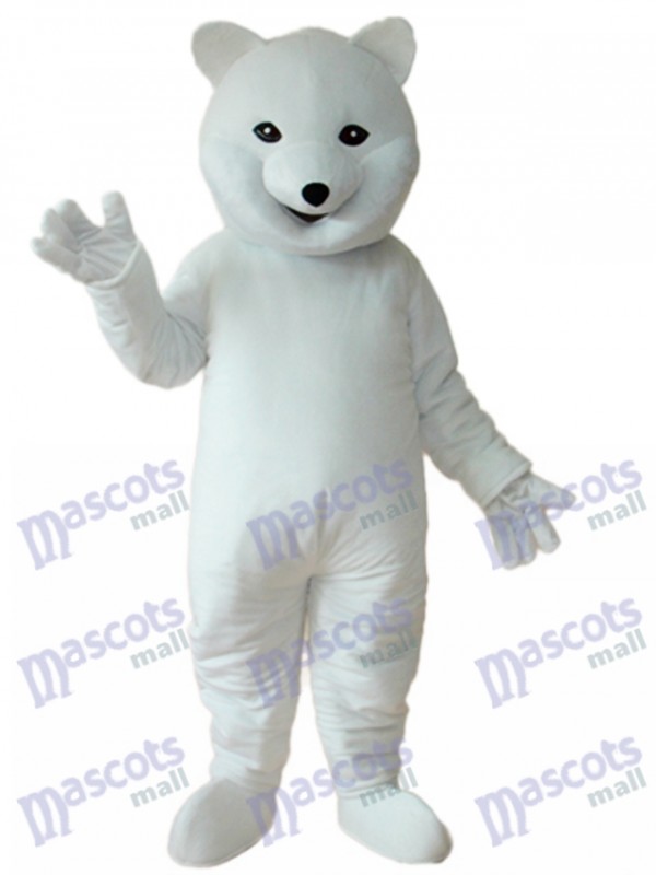 Mascotte ours polaire Costume adulte