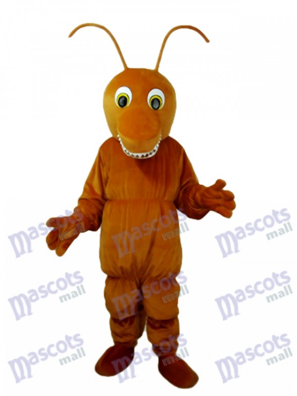 Insecte Costume de mascotte brune marron insecte