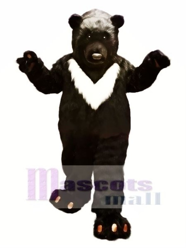 Gros Noir Ours Mascotte Les costumes Animal