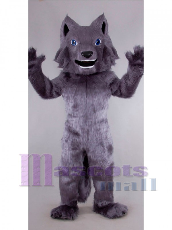 Loup costume de mascotte