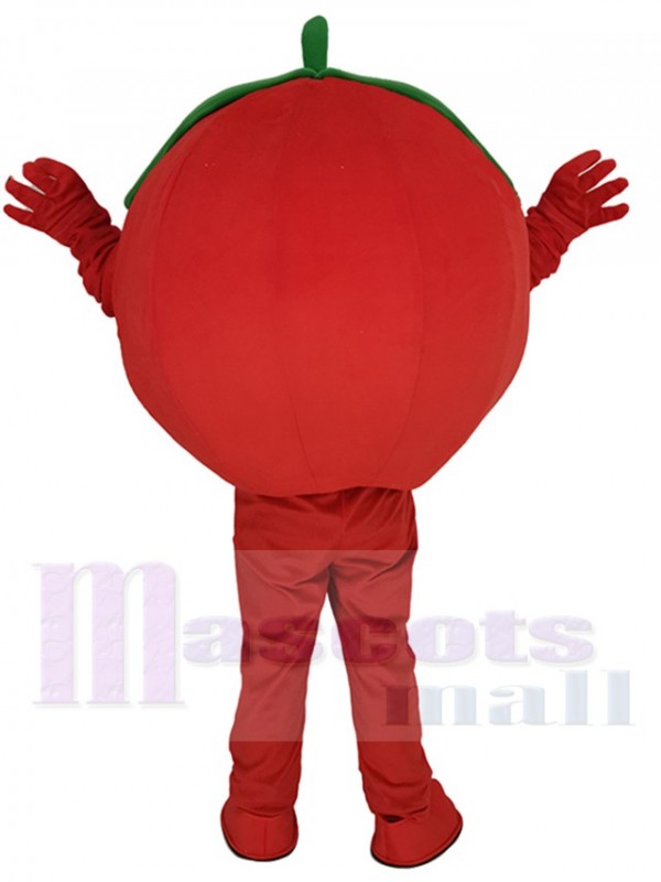 Tomate costume de mascotte