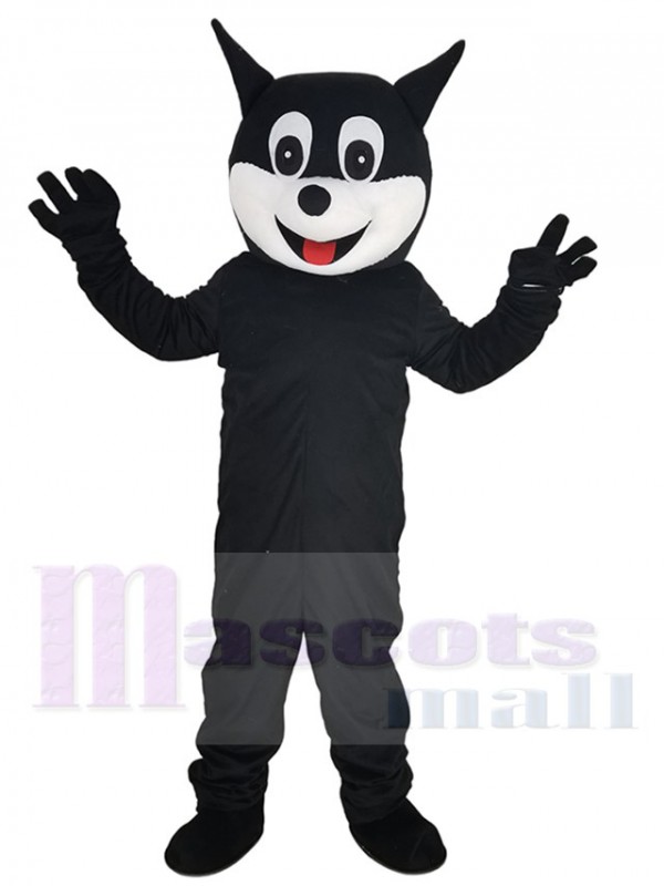 Chat costume de mascotte