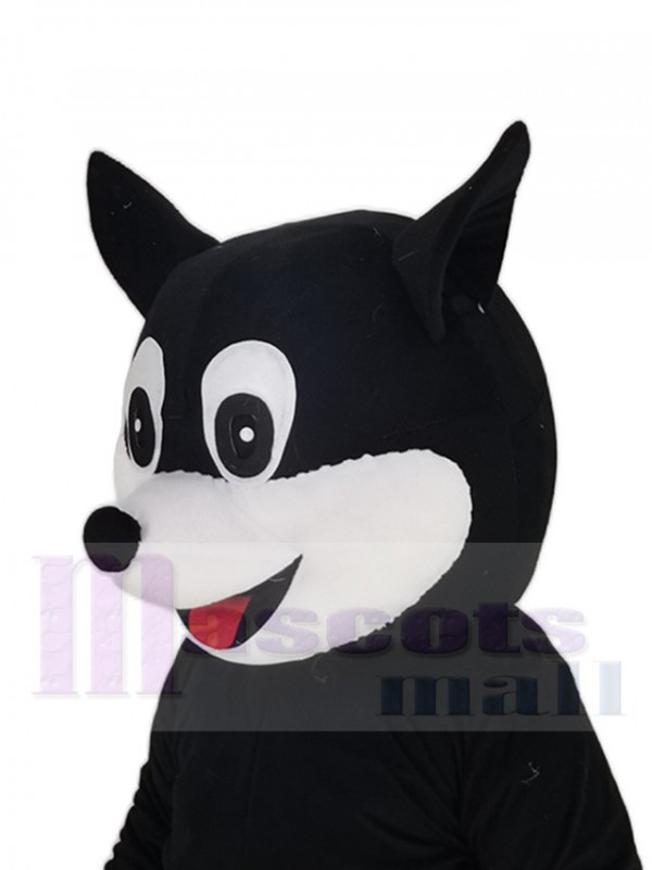 Chat costume de mascotte