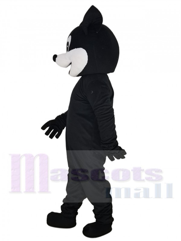 Chat costume de mascotte
