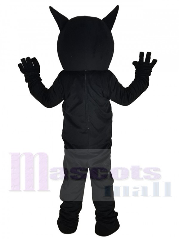 Chat costume de mascotte