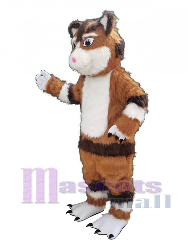 Chat costume de mascotte