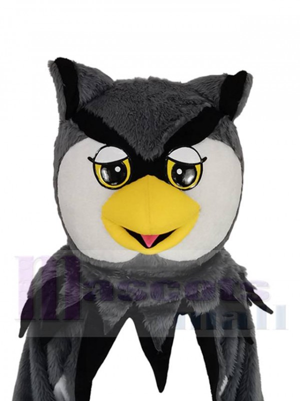 Chouette costume de mascotte