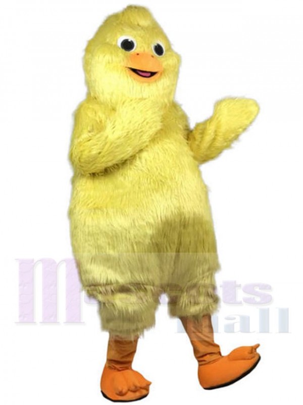 Poulet Volaille costume de mascotte