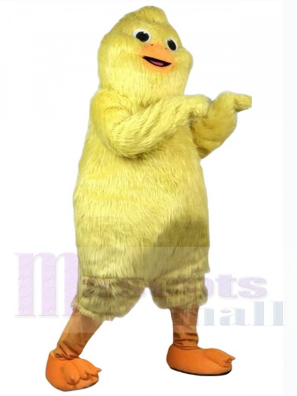 Poulet Volaille costume de mascotte