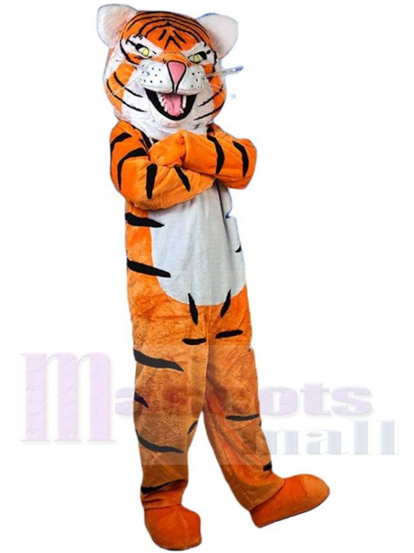 Tigre costume de mascotte
