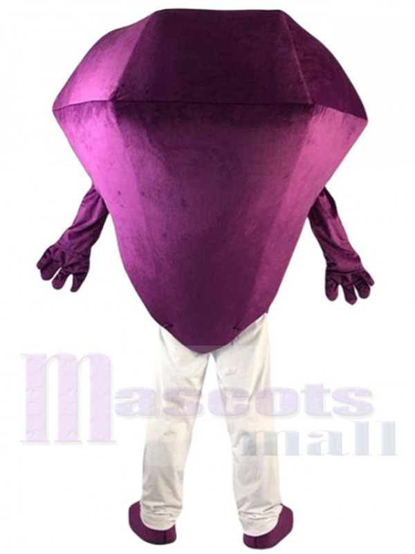 Diamant costume de mascotte