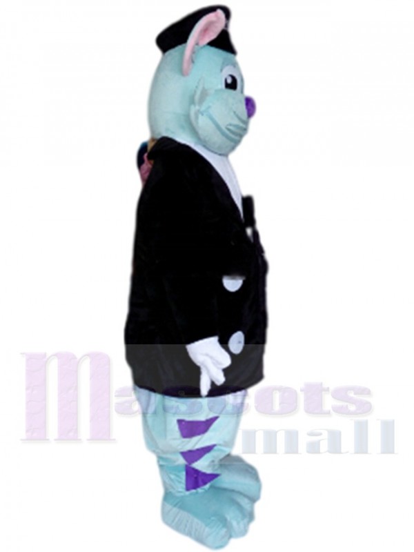 Chat costume de mascotte