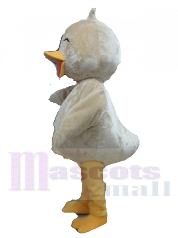 Oiseau costume de mascotte