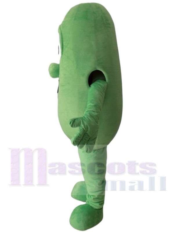 Concombre costume de mascotte