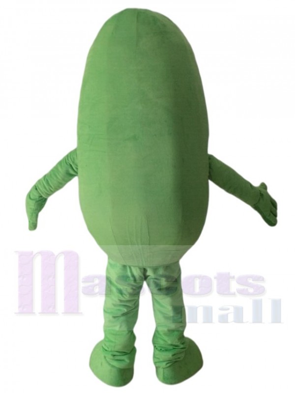 Concombre costume de mascotte