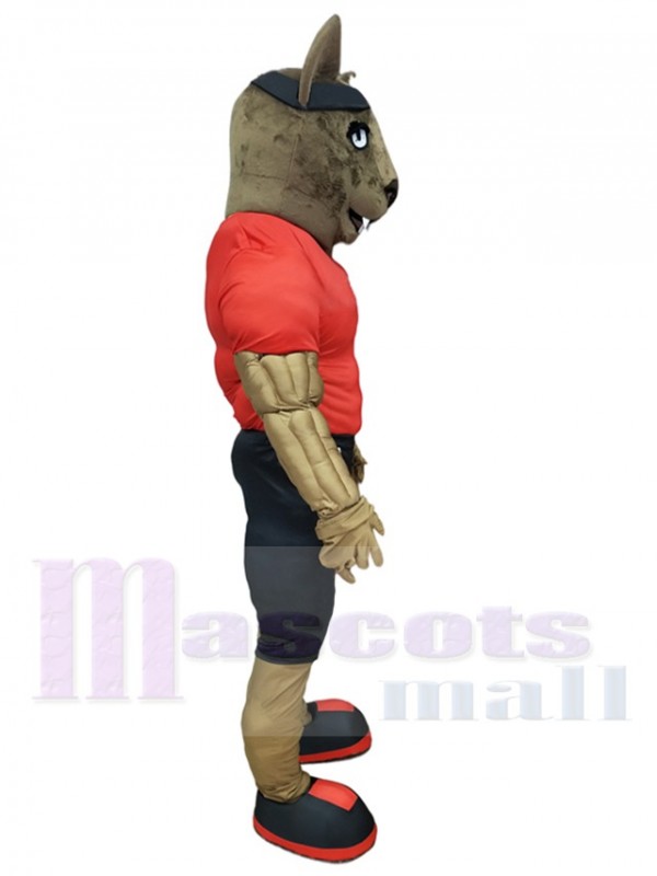 Loup costume de mascotte