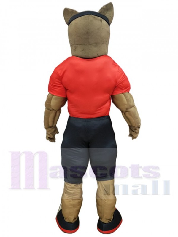 Loup costume de mascotte