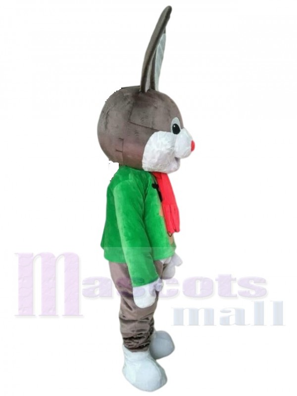 Lapin costume de mascotte