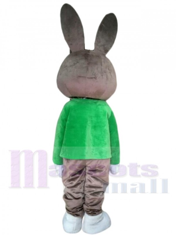 Lapin costume de mascotte