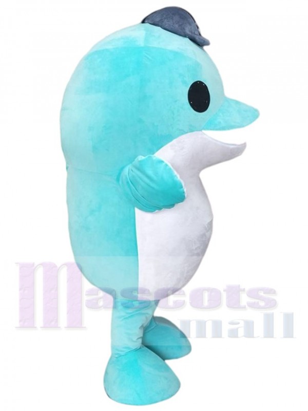 Dauphin costume de mascotte