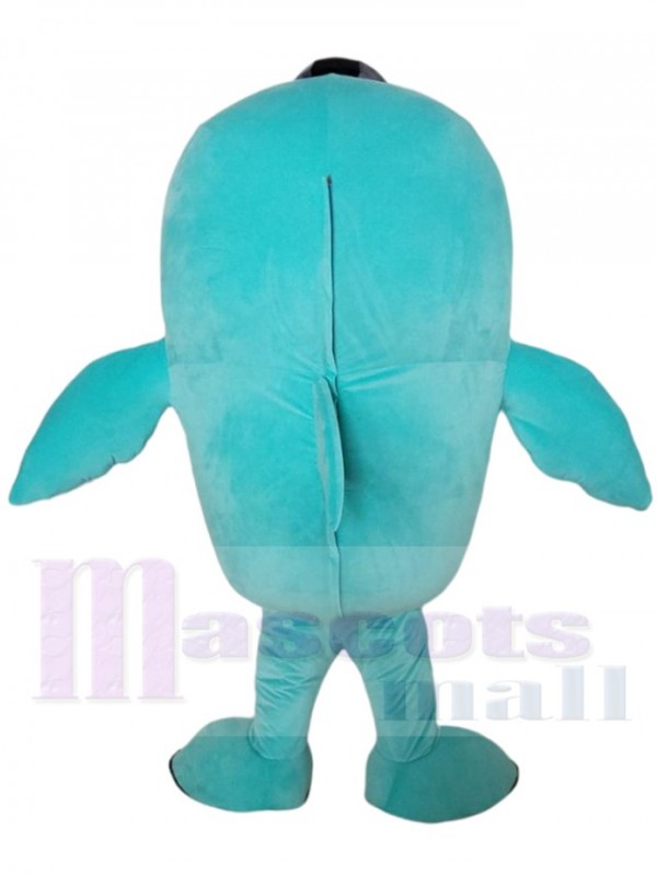 Dauphin costume de mascotte