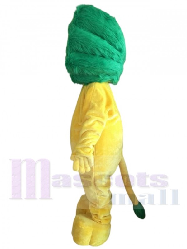 Lion costume de mascotte