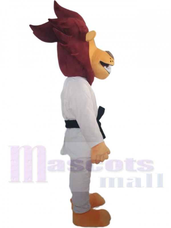 Lion costume de mascotte