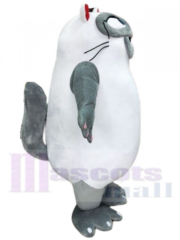 Chat costume de mascotte