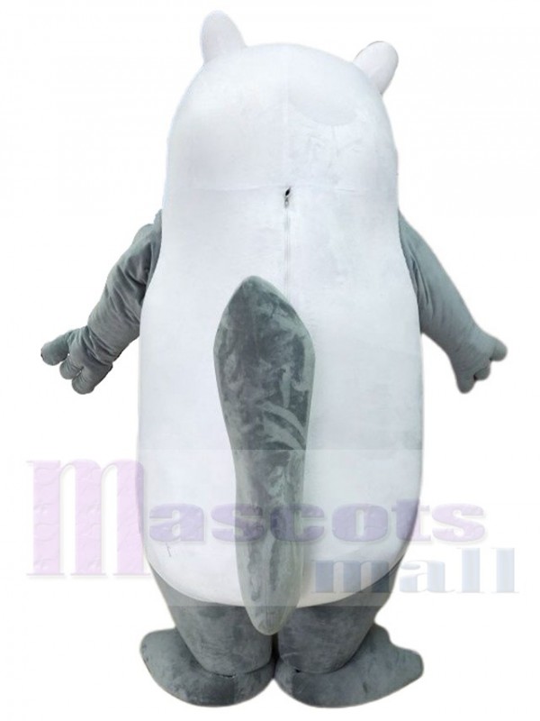 Chat costume de mascotte