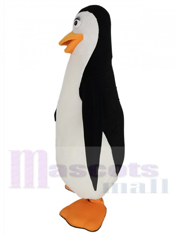 Pingouins de Madagascar costume de mascotte