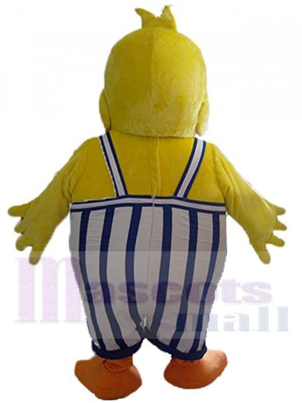 Canard costume de mascotte