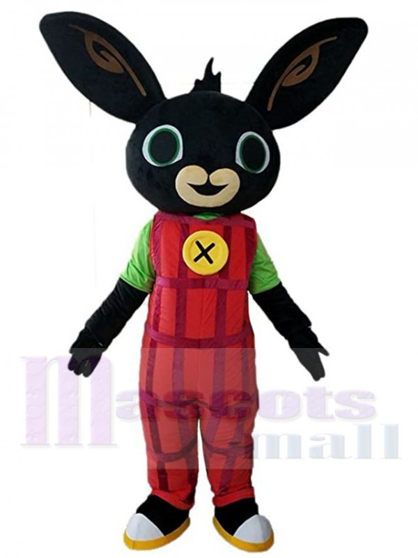 Lapin costume de mascotte