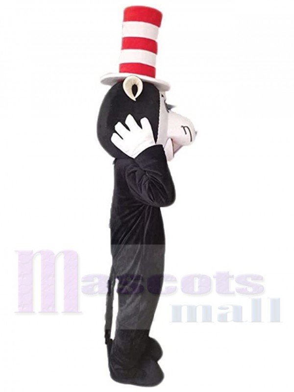 Chat costume de mascotte