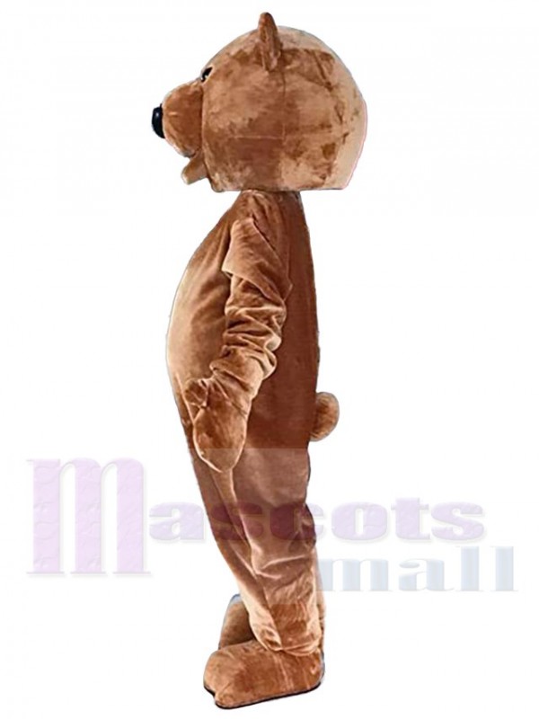 Ours costume de mascotte