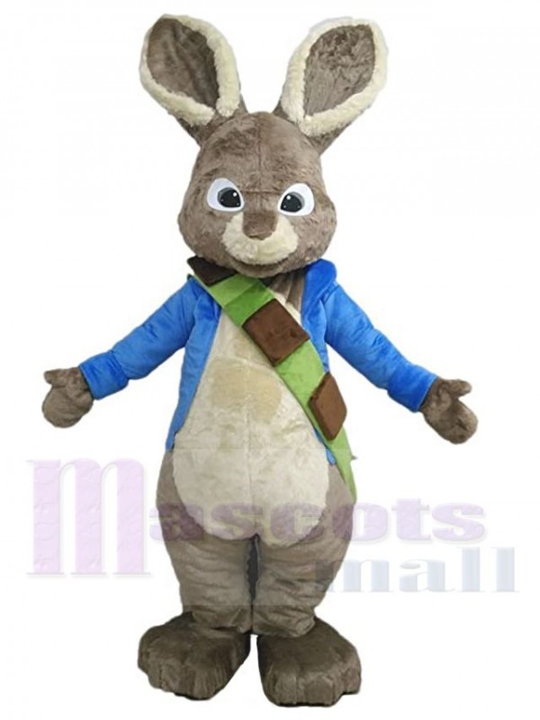 Lapin de Pâques costume de mascotte