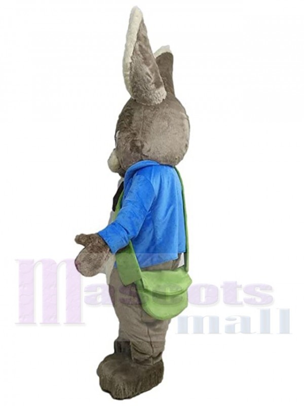 Lapin de Pâques costume de mascotte