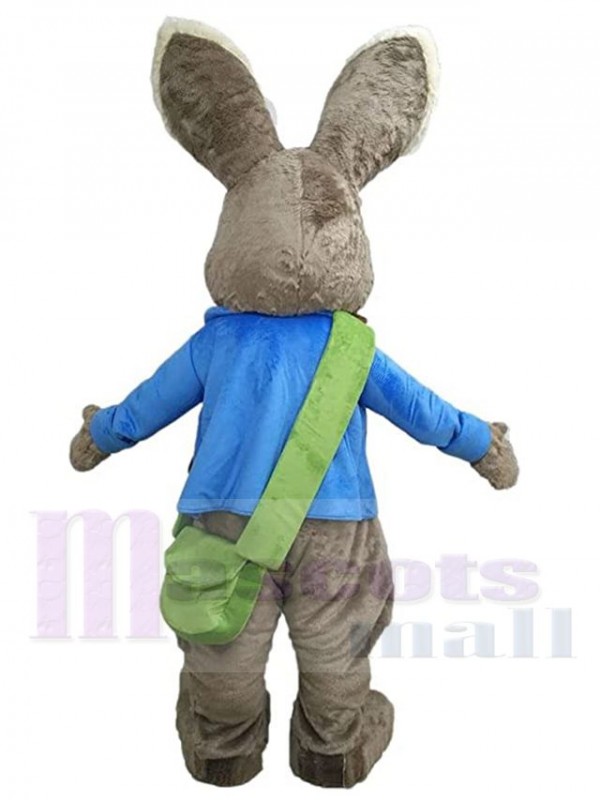 Lapin de Pâques costume de mascotte