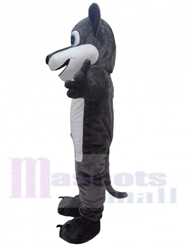 Loup costume de mascotte