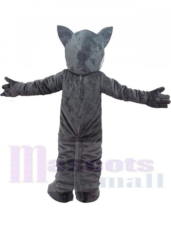Loup costume de mascotte
