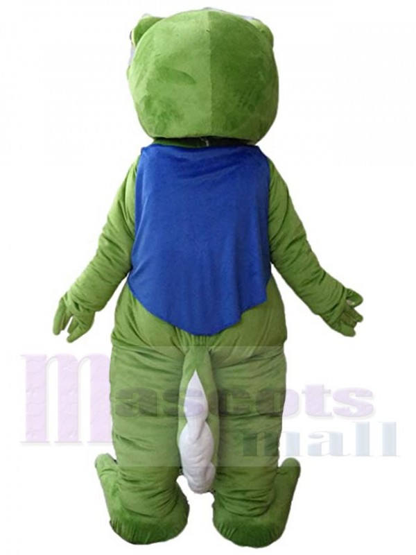 Grenouille costume de mascotte