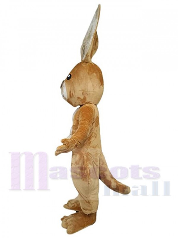 Kangourou costume de mascotte